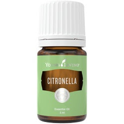Citronella Essential Oil - 5ml