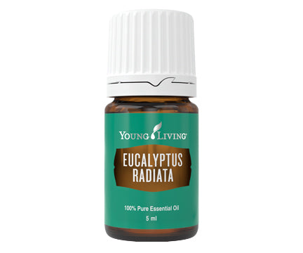 Eucalyptus Radiata - Essential Oil - 5ml
